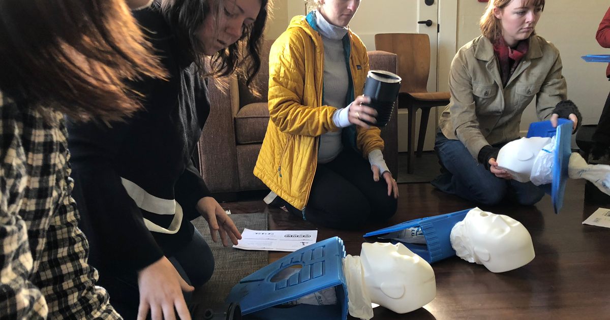 Employees practising CPR on training manikins during a workplace first aid training session
